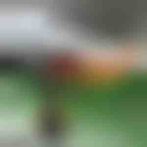 Ātrās apsildes automašīnas ventilators | TURBOCUP