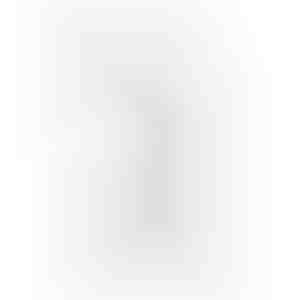 Auskari | VIVIANA_SILVER