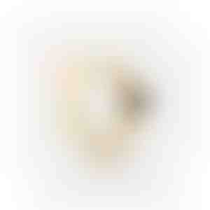 Auskari | JUPITER_GOLD