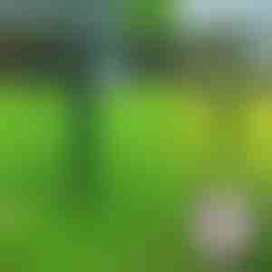 Ultraskaņas dzīvnieku atbaidītājs | SONICFIELD