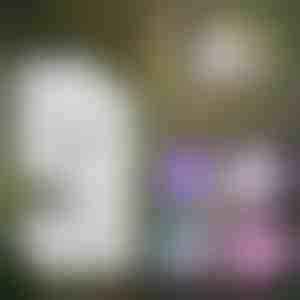 Pārnēsājamais bērnu mikroskops | MINISCOPE