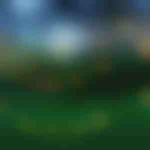 Saules enerģijas LED gaismas (5 m) | SOLSTICE