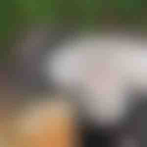 Spīdošas Ziemassvētku bumbiņas (3 m) | XMASBALL