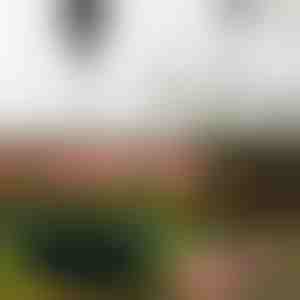 Izvelkamais augu pakaramais | PLANTPULL