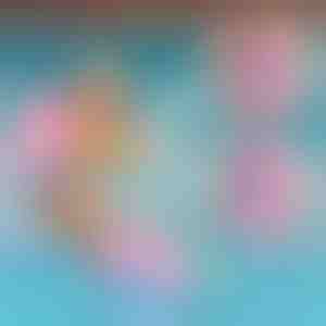 Papildu peldkostīms BUDDYSWIM | SWIMYSUITS