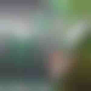 Profesionālas dārza šķēres | CHOPIX