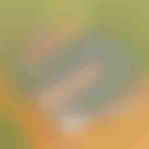 Koka rokturi KOREPAN pannai | KOREHOLD