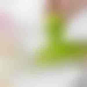 Ķiploku un ingvera smalcinātājs | MINIGRINDER