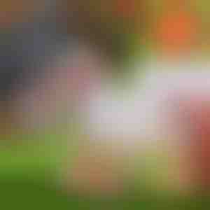 30x maisiņi priekš PROVACUUMSEALER | SEALERBAG