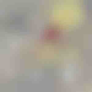 Papildu filtrs PETSPRINGLE | SPRINGLEFIL