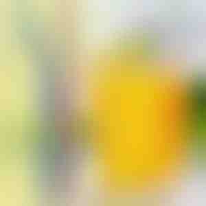 4x atkārtoti lietojami tērauda salmiņi | STEELSIP