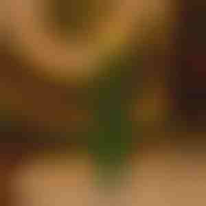 Bezliesmas mirgojoša svētku svece | CANDLETREE