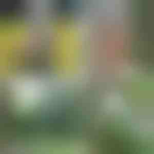 Pārnēsājamais dušas | HYDROPORT