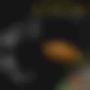 Akvārija barošanas paplātes komplekts | FINTROL