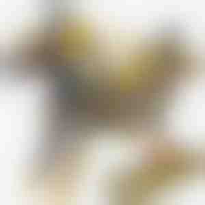 Magnētiskā dinozaura automašīnas rotaļlieta | ROARWHEEL