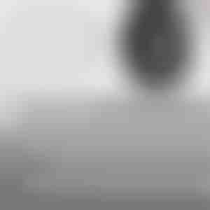 Ātrās blīves riepu remonta naglas | VULCOFIX