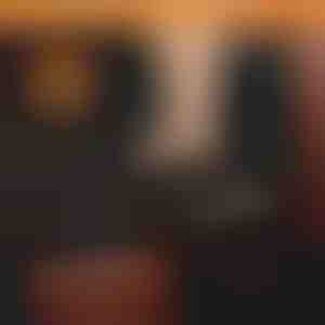 Suņu ūdensizturīgs automašīnas aizmugurējās sēdekļa pārvalks | CARIPET