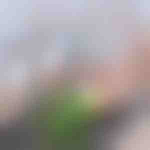 Uzlabots oglekļa jaucējkrāna filtrs | CHARFILTER