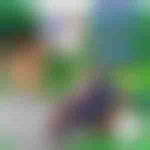 10+10 BEZMAKSAS putu bultas BLASTKID | F2OAMBULLETS