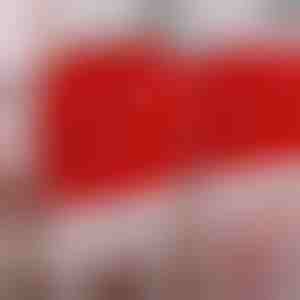 Svinīgi krēslu pārvalki 4 gab. | SANTASEAT