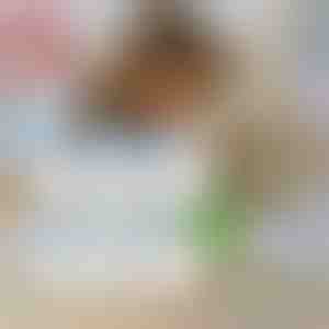 6 vienreizlietojamie maisiņi + utainu ķemme DĀVANĀ