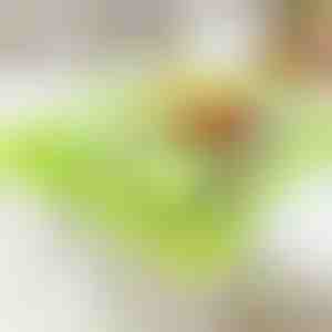 Griešanas dēlis ar organisko atkritumu konteineru