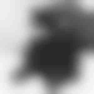 Amortizatora stūres izplešanas instruments | STRUTRA