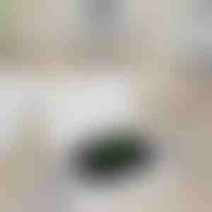 Pārnēsājama pulksteņa uzlādes banka | WATCHBANK