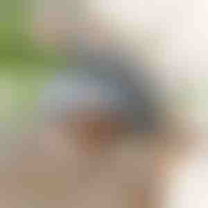 Interaktīva plīvojoša putna rotaļlieta | CHIRRCAT