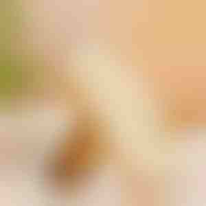 Gumijas apavu birste | RUBSHOE