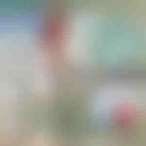 Teleskopisks metāla laivas āķis | FASTDOCK