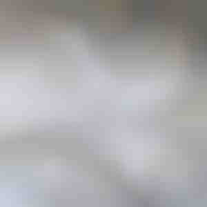 Rezerves asmens GRIDZ