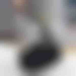 Rezerves birste tvaika tīrītājam