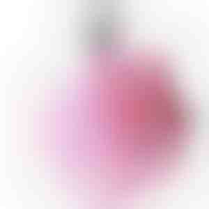 Tīkla dušas sūklis